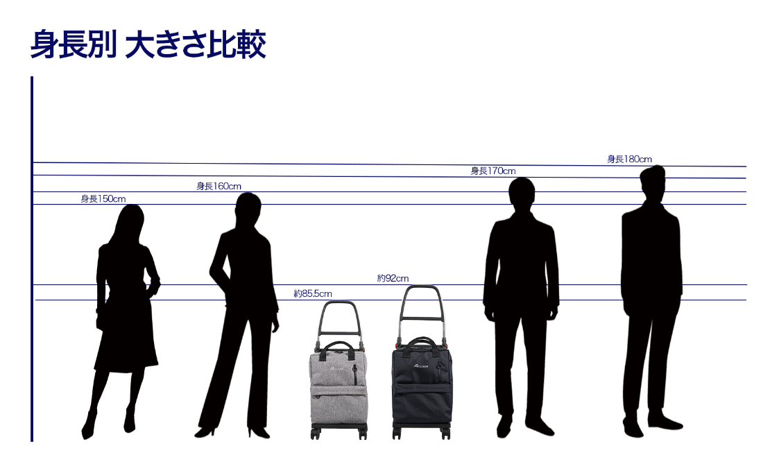 身長別大きさ比較
